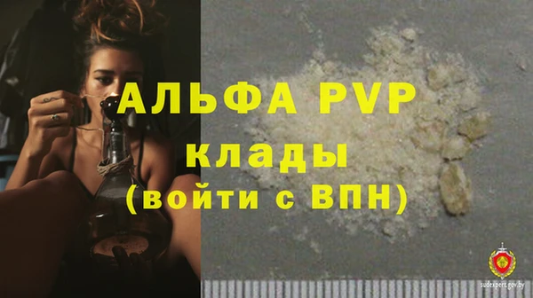 шишки Абаза