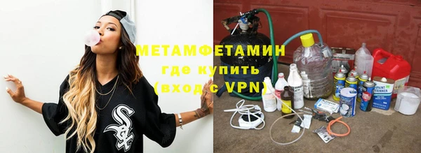 шишки Абаза