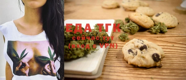 шишки Абаза