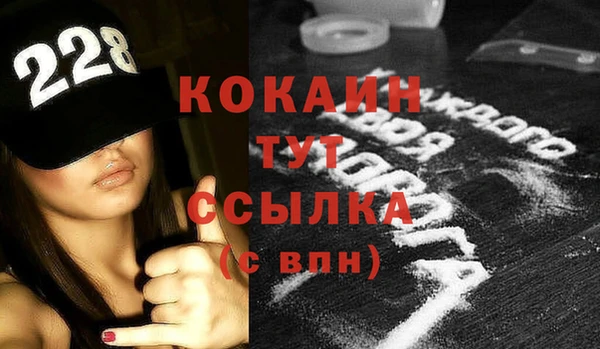 шишки Абаза
