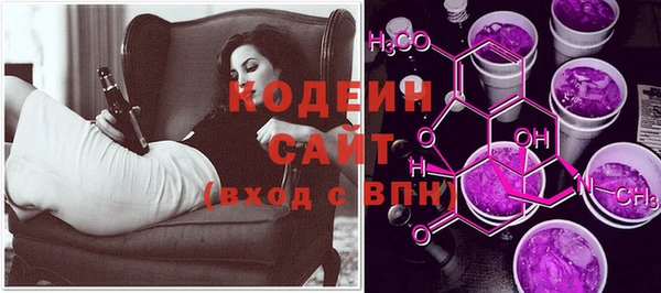 шишки Абаза