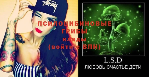 шишки Абаза