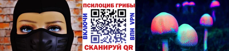 закладка  Агрыз  Галлюциногенные грибы Magic Shrooms 